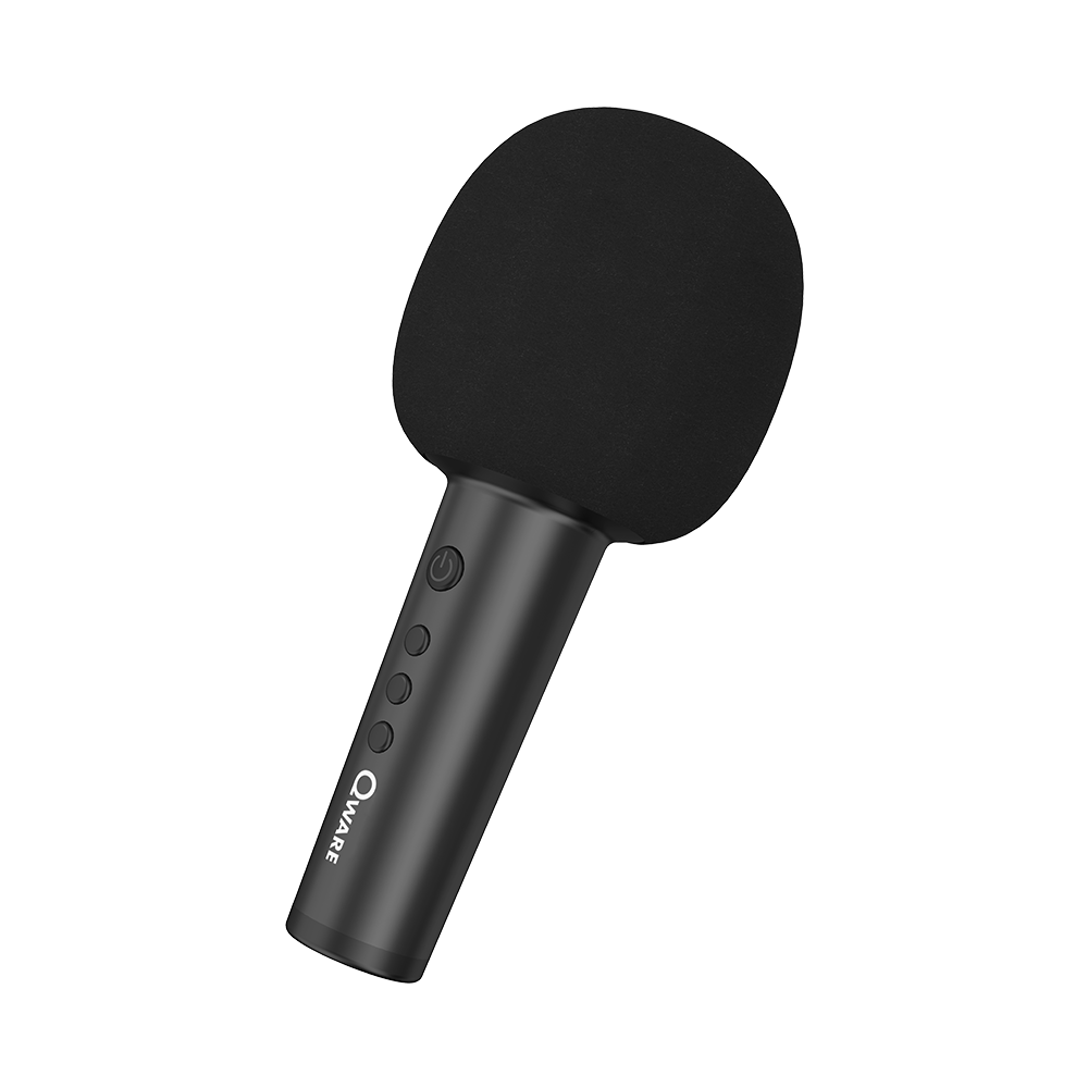 Qware Karaoke Microfoon