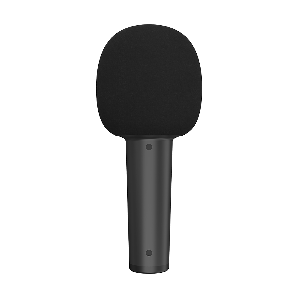 Qware Karaoke Microfoon