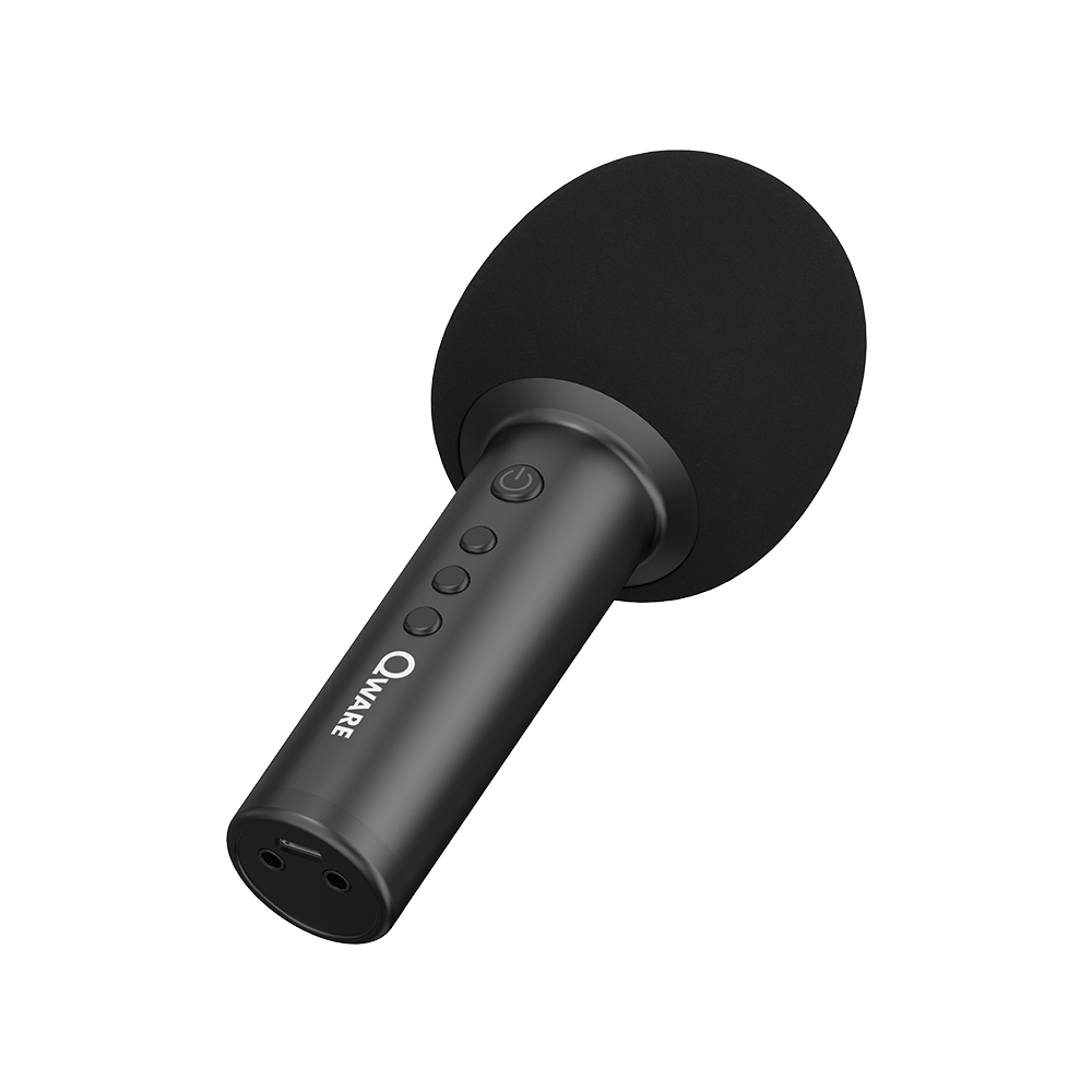 Qware Karaoke Microfoon