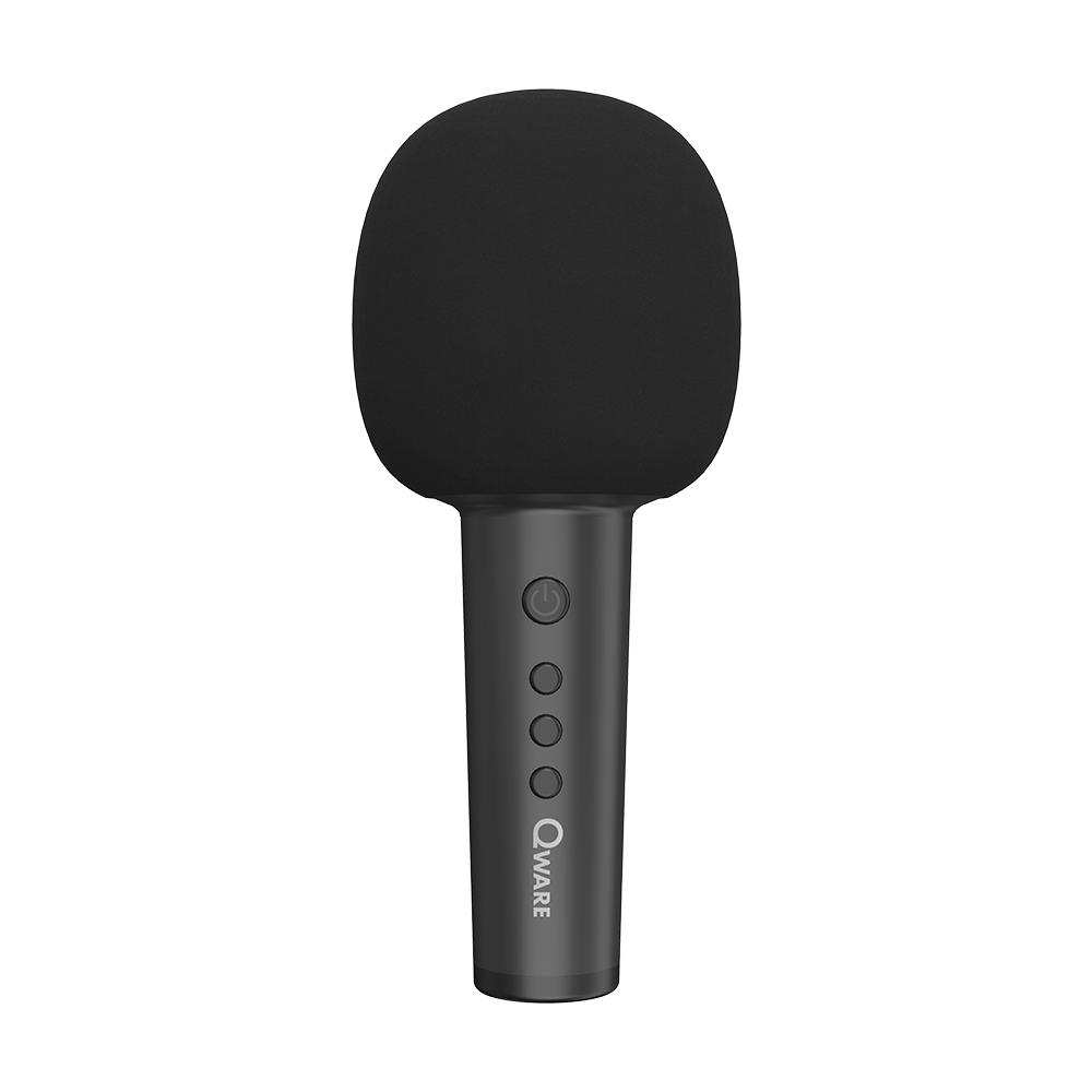 Qware Karaoke Microfoon