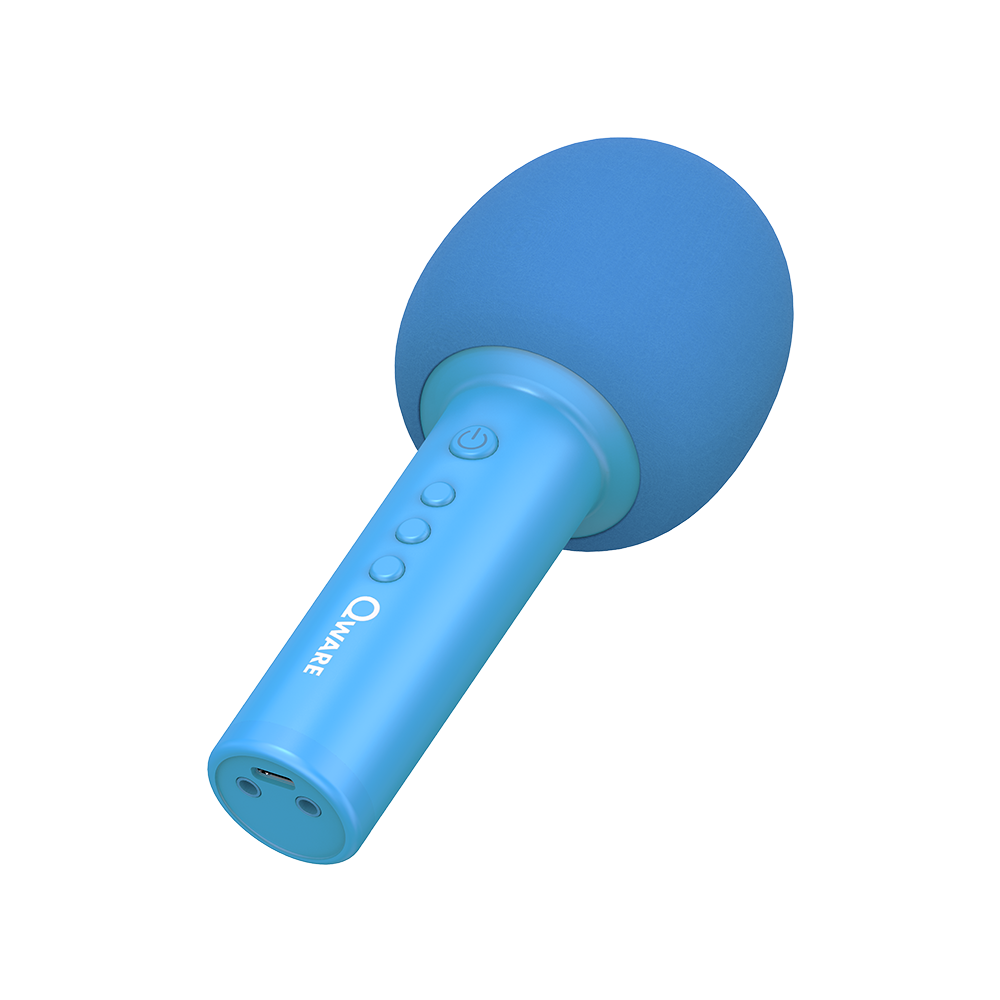 Qware Karaoke Microfoon