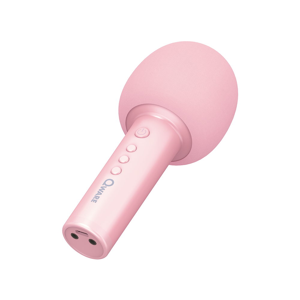 Qware Karaoke Microfoon